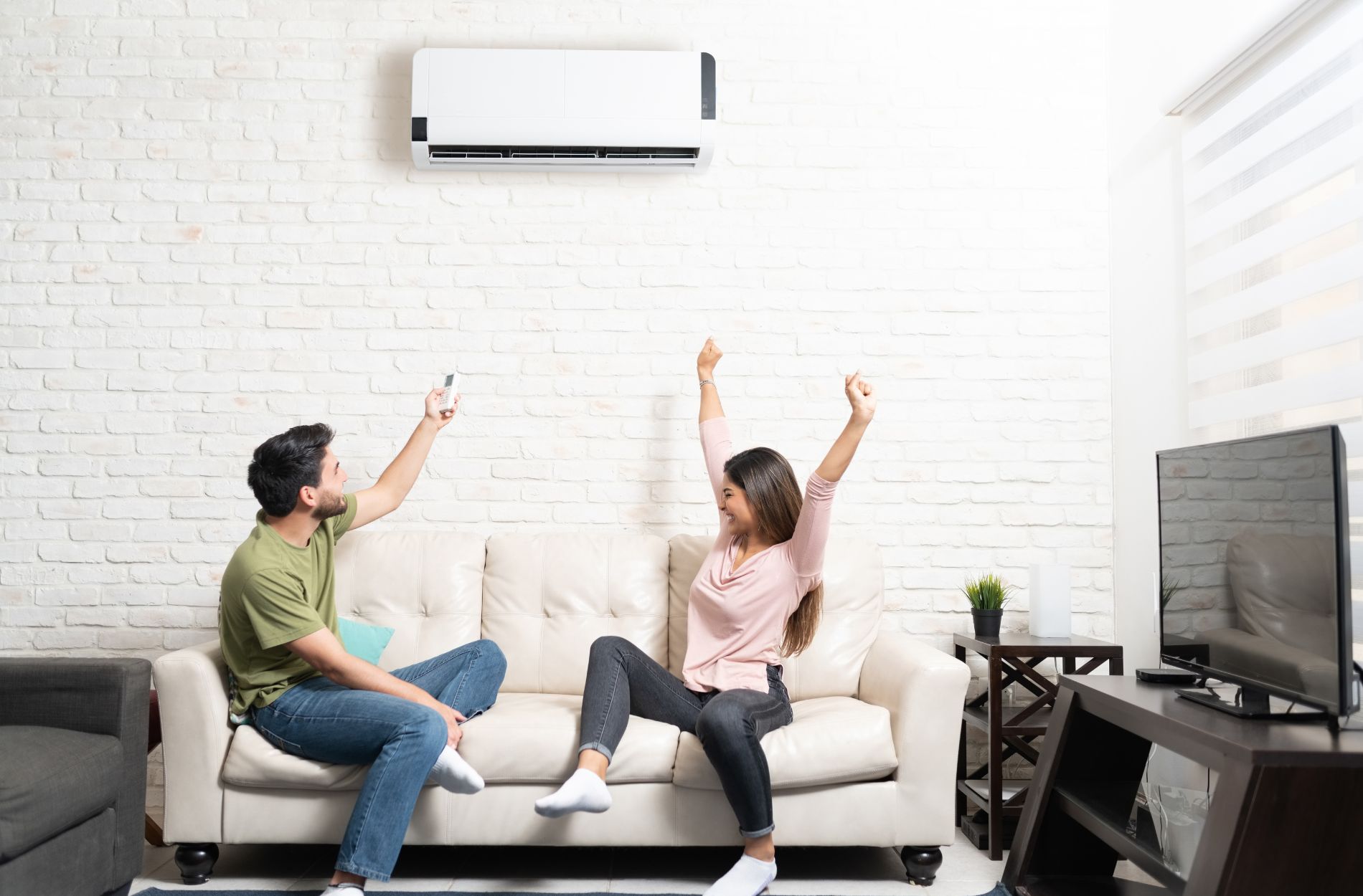 Ductless Mini Splits